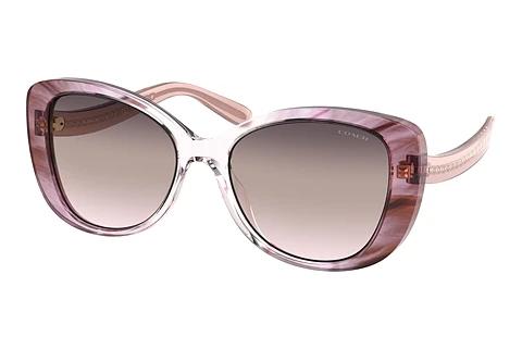 Sonnenbrille Coach C6183 (HC8322 5656U8)