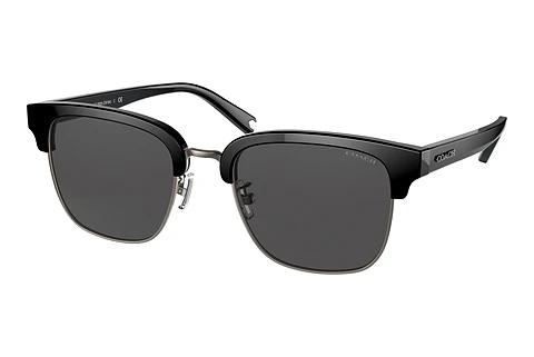 Sonnenbrille Coach C6194 (HC8326 500287)