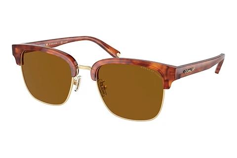 Sonnenbrille Coach C6194 (HC8326 577483)