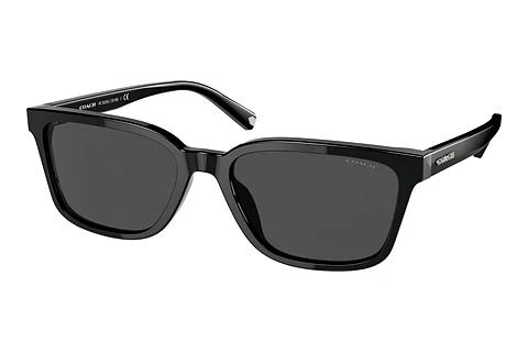 Sonnenbrille Coach C6196 (HC8328U 500287)