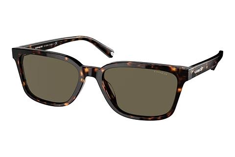 Sonnenbrille Coach C6196 (HC8328U 512003)