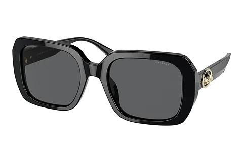 Sonnenbrille Coach C6188 (HC8329U 500287)