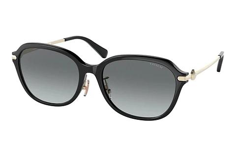 Sonnenbrille Coach C6199 (HC8332D 500211)