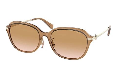 Sonnenbrille Coach C6199 (HC8332D 565413)