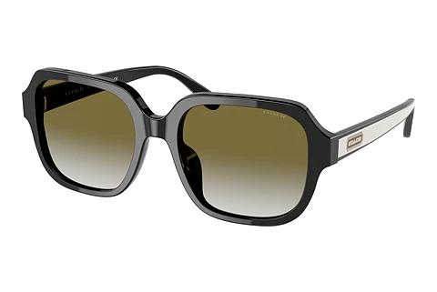Sonnenbrille Coach C7989 (HC8335U 50027Z)