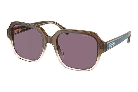Sonnenbrille Coach C7989 (HC8335U 56781A)
