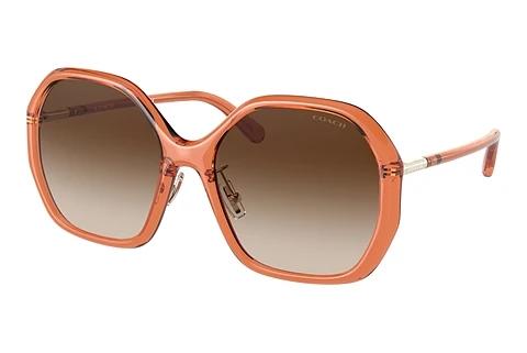 Sonnenbrille Coach C9204 (HC8343 570013)