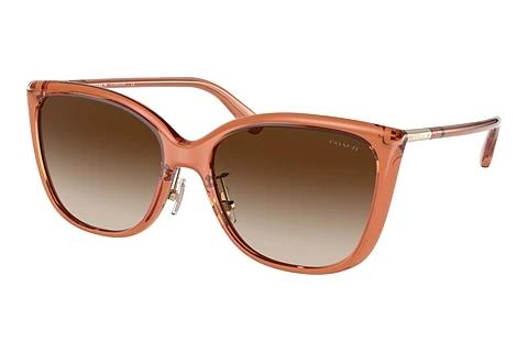 Sonnenbrille Coach C9206 (HC8345 570013)