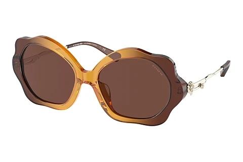 Sonnenbrille Coach C9200 (HC8346BU 57016G)