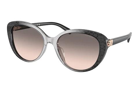 Sonnenbrille Coach CD479 (HC8348U 57103B)