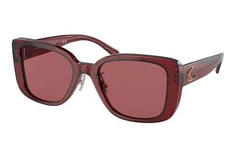 Sonnenbrille Coach CD472 (HC8352 571369)