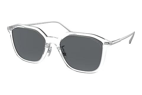 Sonnenbrille Coach CD461 (HC8355 511181)