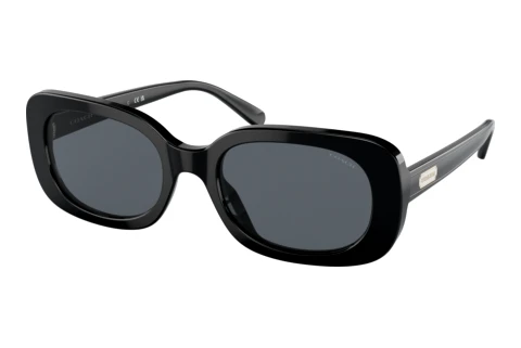Sonnenbrille Coach CD471 (HC8358U 500280)
