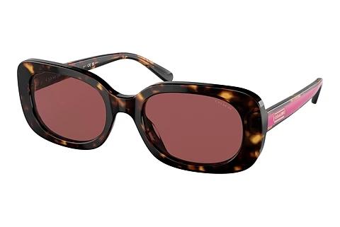 Sonnenbrille Coach CD471 (HC8358U 512069)