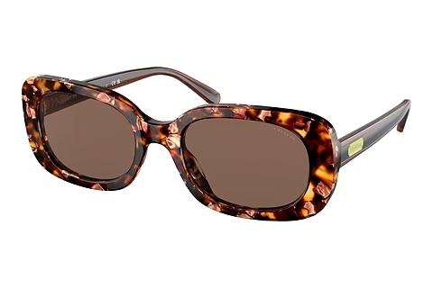 Sonnenbrille Coach CD471 (HC8358U 571173)