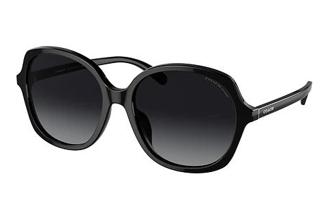 Sonnenbrille Coach CH557 (HC8360U 5002T3)