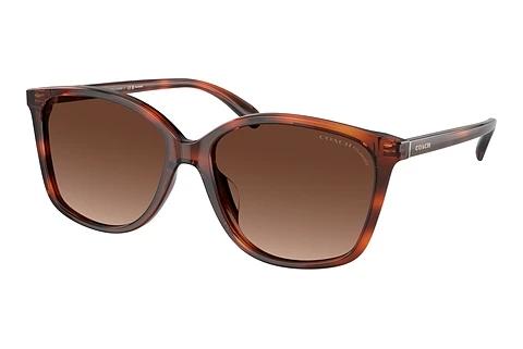Sonnenbrille Coach CH558 (HC8361U 5741T5)
