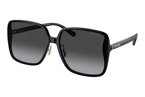 Sonnenbrille Coach CH572 (HC8368D 50028G)