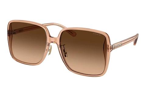 Sonnenbrille Coach CH572 (HC8368D 556174)