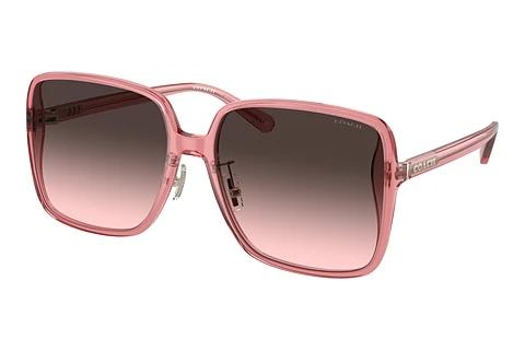 Sonnenbrille Coach CH572 (HC8368D 580046)