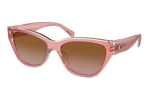 Sonnenbrille Coach CH570 (HC8370U 574313)