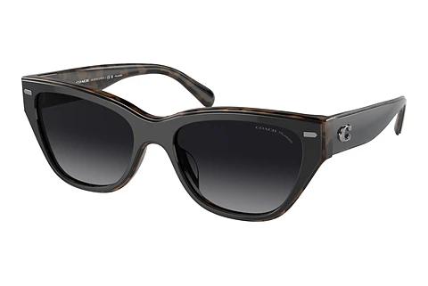 Sonnenbrille Coach CH570 (HC8370U 5764T3)