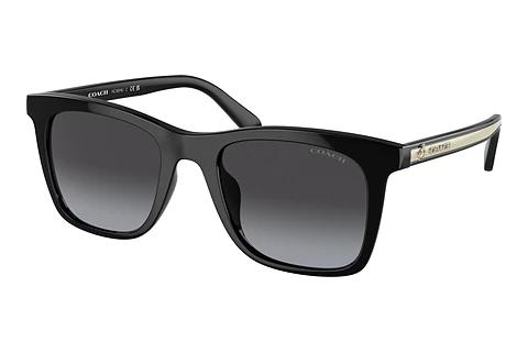 Sonnenbrille Coach CH561 (HC8374U 50028G)