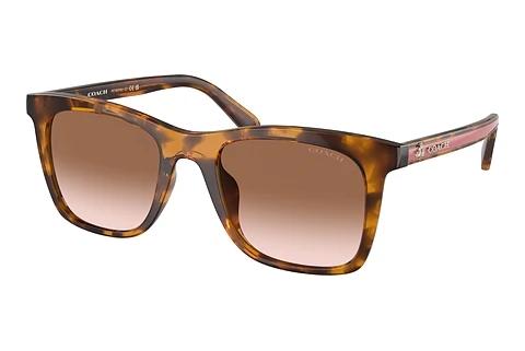 Sonnenbrille Coach CH561 (HC8374U 512013)