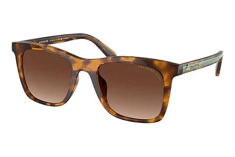 Sonnenbrille Coach CH561 (HC8374U 5120T5)