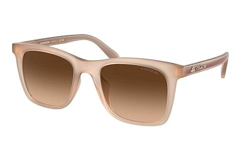 Sonnenbrille Coach CH561 (HC8374U 574774)