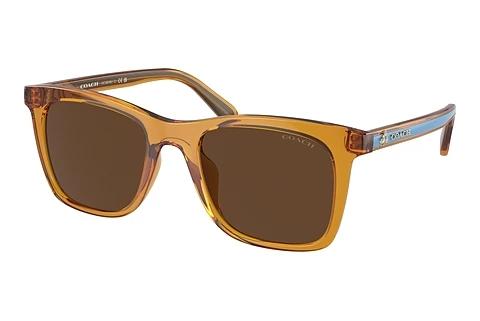 Sonnenbrille Coach CH561 (HC8374U 57483G)
