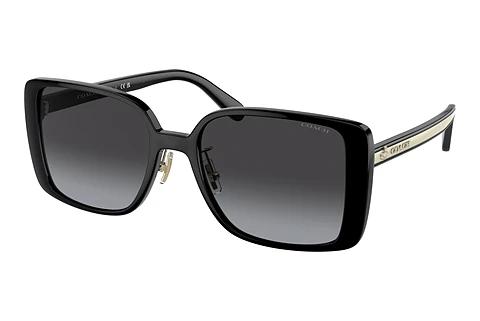 Sonnenbrille Coach CH562 (HC8375 50028G)