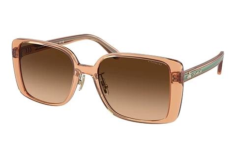 Sonnenbrille Coach CH562 (HC8375 574974)