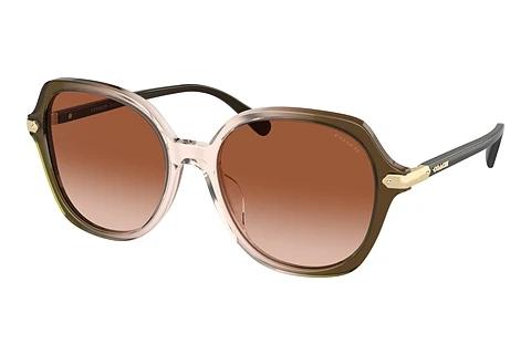 Sonnenbrille Coach CL925 (HC8377U 540013)