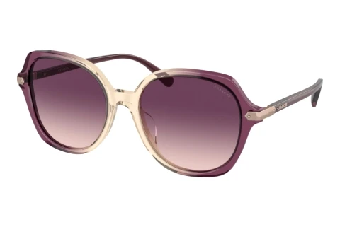 Sonnenbrille Coach CL925 (HC8377U 57737W)