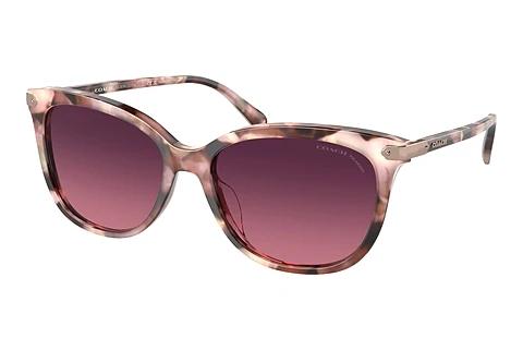 Sonnenbrille Coach CL926 (HC8378U 5528F4)