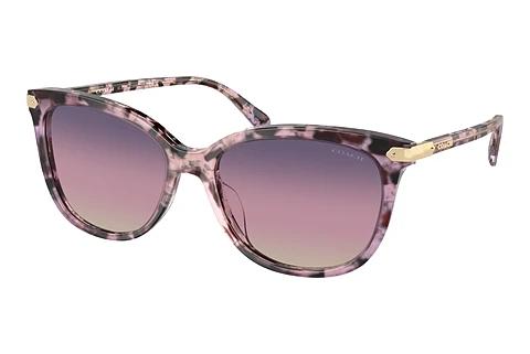 Sonnenbrille Coach CL926 (HC8378U 5777U6)