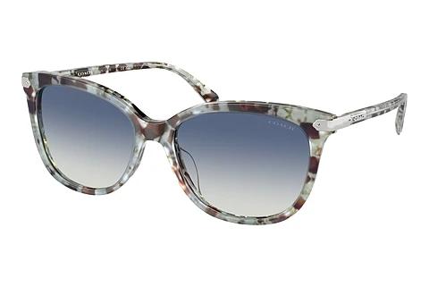 Sonnenbrille Coach CL926 (HC8378U 57784L)