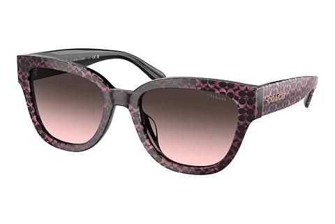 Sonnenbrille Coach CL920 (HC8379U 578346)