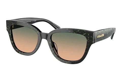 Sonnenbrille Coach CL920 (HC8379U 578413)