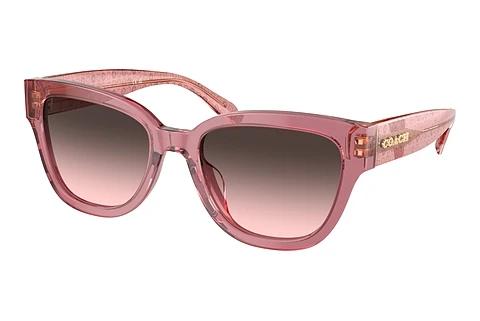 Sonnenbrille Coach CL920 (HC8379U 580046)