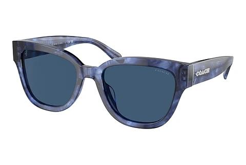 Sonnenbrille Coach CL920 (HC8379U 583755)