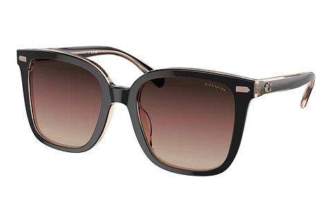 Sonnenbrille Coach CL918 (HC8381U 5781E2)