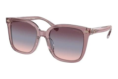 Sonnenbrille Coach CL918 (HC8381U 57820J)
