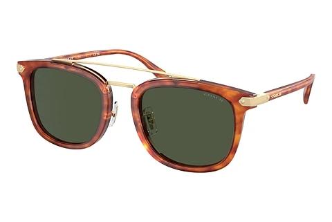 Sonnenbrille Coach CL913 (HC8382 577482)