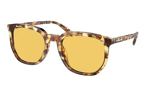 Sonnenbrille Coach CL911 (HC8384U 504585)