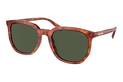 Sonnenbrille Coach CL911 (HC8384U 577482)