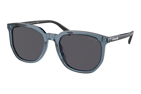 Sonnenbrille Coach CL911 (HC8384U 579487)