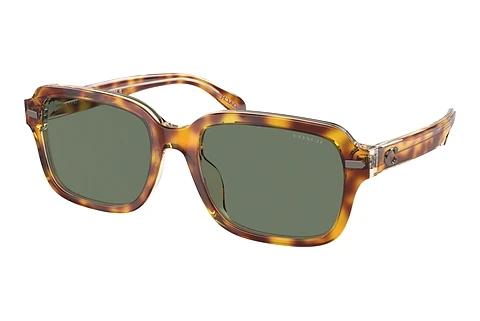 Sonnenbrille Coach CL914 (HC8388U 57563H)