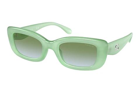 Sonnenbrille Coach CR610 (HC8390U 5807I7)